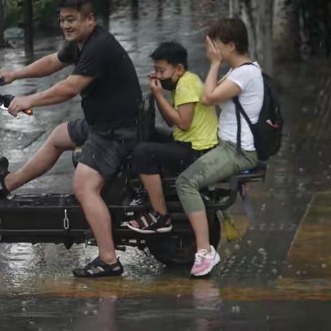 【镜头背后】温柔而有序