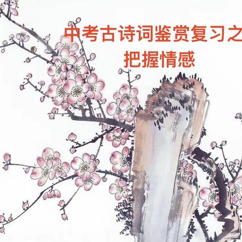 能读千赋则善赋，能观千剑则晓剑         ——记初三“中考古诗词鉴赏复习之把握情感”示范课