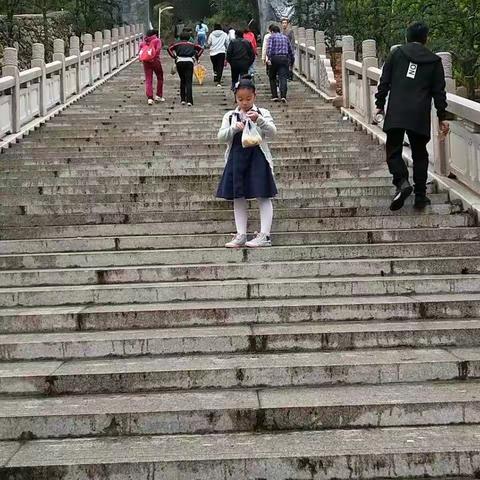 登山、吃麻糍、赏花