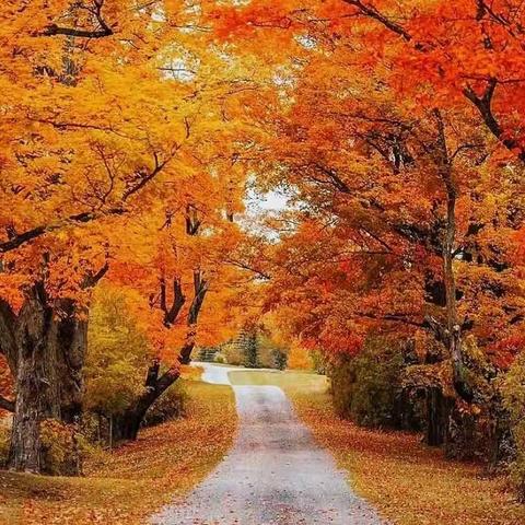 静默期间，停课不停学                                     —549班第四小组周洋轩