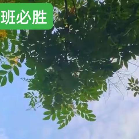 不负韶华，努力前行---迁西第三中学 九（3）班，停课不停学网课学习纪实