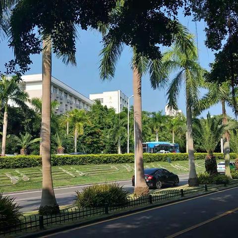 厦门游（8.19－24 四）