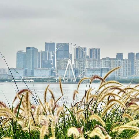 在风雨前笔直地站着 就是最精彩的表演