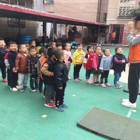 博豪幼儿学校小三班本周主题《摘橘子》