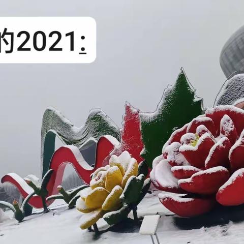 我的2021