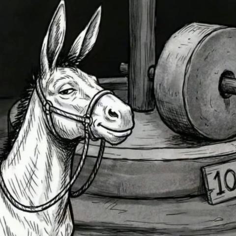 毛驴拉磨，走不出那个圈儿