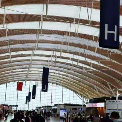 收拾心情💪重新出发🌺上海欢迎你们