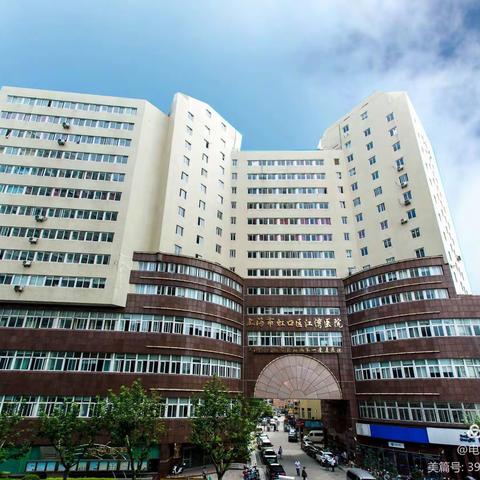 蚂蚁搬家~大结局🎬