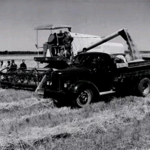 纪念知青上山下乡五十五周年（三）劳动与生活