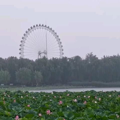 清平乐〈乙巳中伏〉