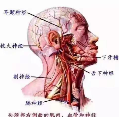 临潼区人民医院渭北分院~~疼痛科~~头痛为什么与颈部有关?