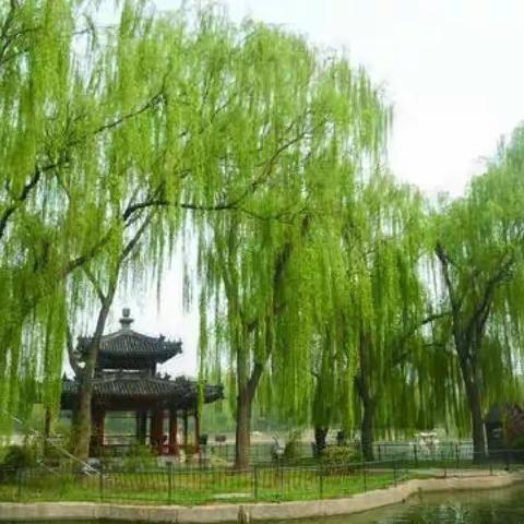 诗词临桂——临桂诗词楹联学会微刊（第十二期）