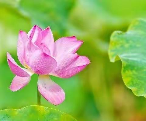 诗词临桂——临桂诗词楹联学会微刊（第十三期）