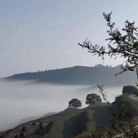 淡看岁月沧桑心存温暖无恙