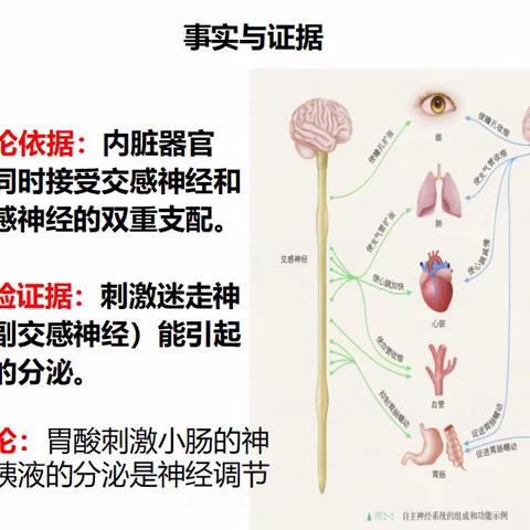 记2021年9月15日，高二生物组第二次集体备课活动