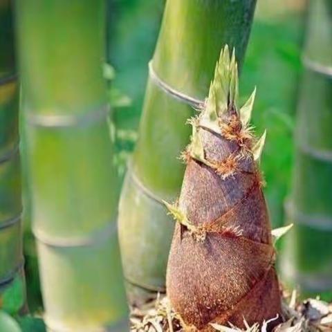 ༄༢ʚLO木子VEɞ༄༢的美篇