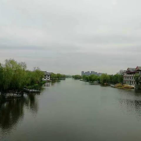 我与春天有个约会