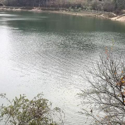 风从故乡来……