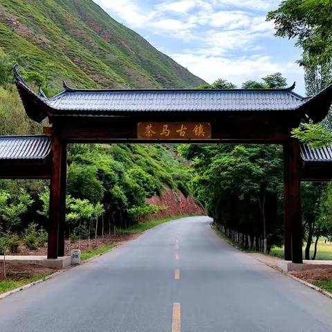 风劲帆满图新志，厚植沃土等你来——武山县滩歌学区各学校风采展示