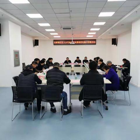 花桥街道“两代表一委员”专题调研和集中视察活动