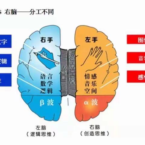 育萌全脑课程――给孩子一生的能力