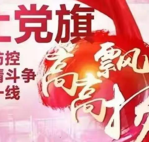 为党旗增辉 为百姓办事—记团结北里党员防疫志愿活动