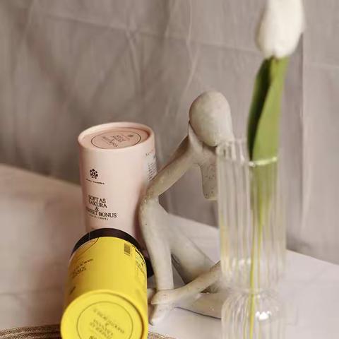 日弥脂排舞的使用指南