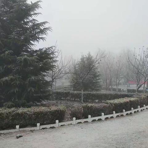 美丽的雾中校园