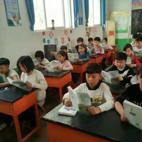 阅读经典     浸润书香                       ——龙马小学五年级读书活动