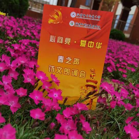 心向党  爱中华