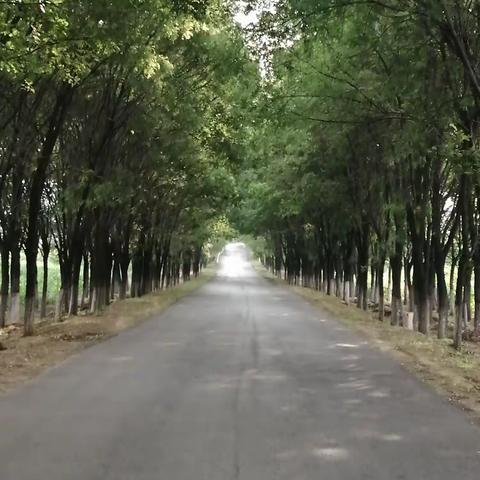 霍村第一网格员--候玉堂