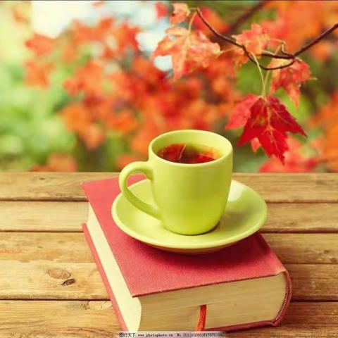 智晟教育百日阅读活动开展咯😄