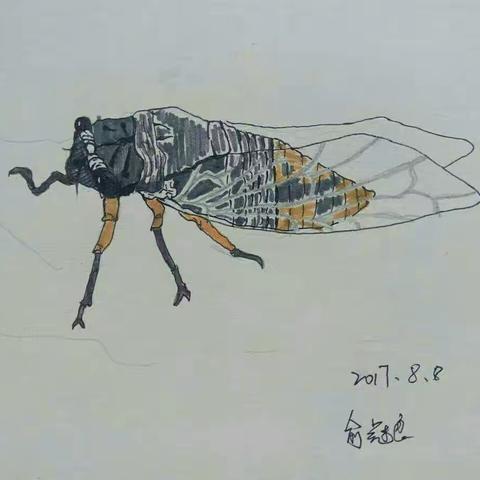 近期作品展示
