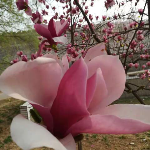 阳光不燥微风正好