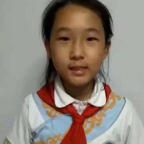 新城区满族小学“红领巾奖章”创城小先锋