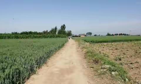 灿烂阳光，美好生活