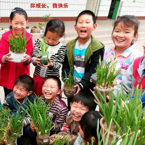 一片春蒜绿，满堂欢笑声 大士庄小学二年级“相约春天”实践活动课