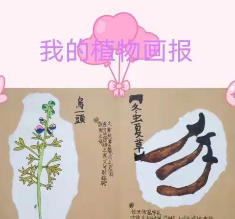 缤纷暑假 精彩童年