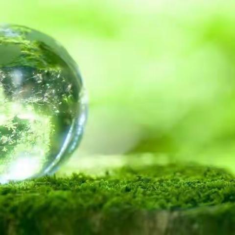 【九（5）班 傅琪琪】预防溺水，让生命之花永不凋谢――第一周优秀周末育人跟踪卡