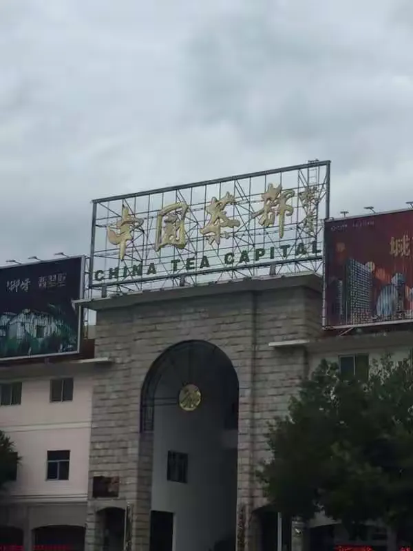 小蔡老家！福建！中国茶都！