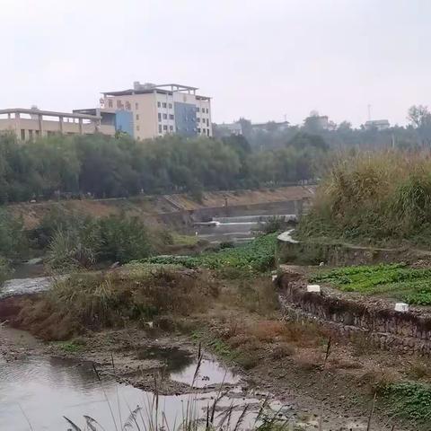 七律两首 . 雨中漫步