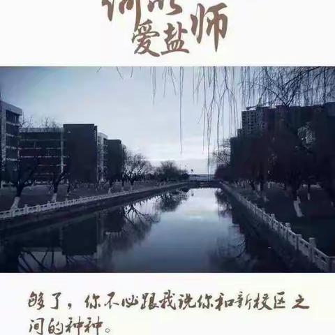 何以爱盐师