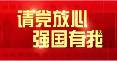 请党放心，强国有我—小召乡一中主题团日活动