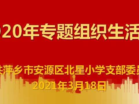 强化党性修养 永葆政治本色——北星小学党支部召开2020年度专题组织生活会