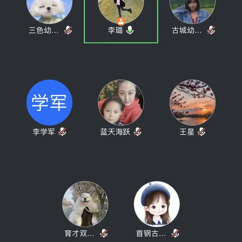 制定“一划两案” 展望能力提升——石景山区教师信息技术应用能力提升工程2.0项目线上指导活动