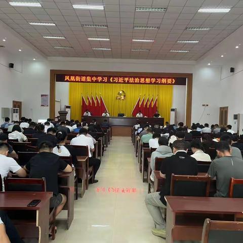 【新时代文明实践】凤凰街道开展《习近平法治思想学习纲要》宣讲会