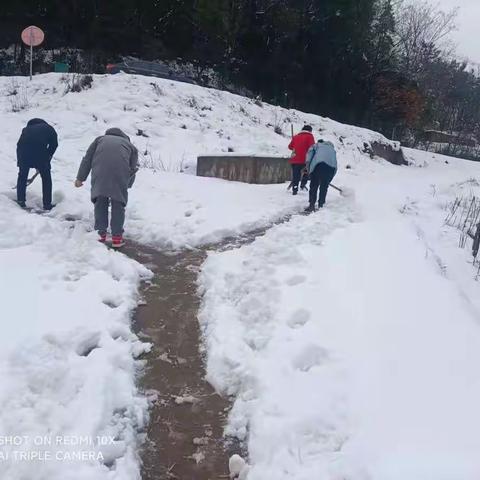 校园清雪记，温情暖寒冬