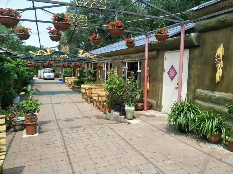 南林小院休闲度假好去处