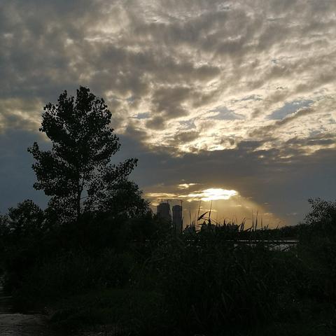 思来想去真是扯淡