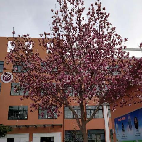 多彩活动成就快乐童年